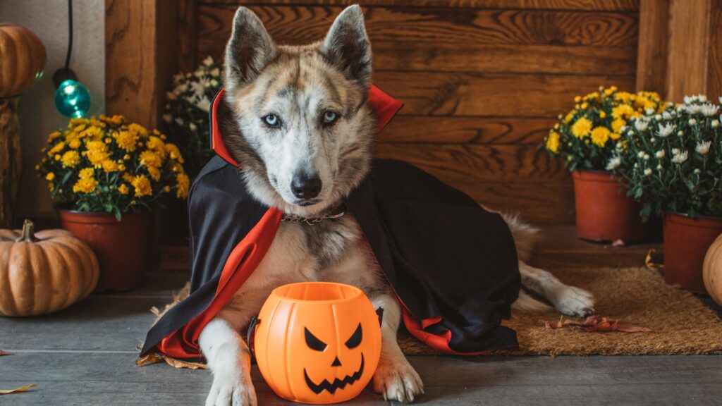 Don't Get Spooked! First-Time Homebuyer Tips