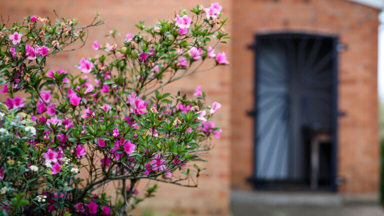 What’s Blooming in Real Estate